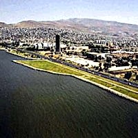 Bayraklı Çiçek Siparişi