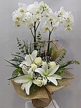 Gül Lilyum Orkide Aranjman