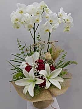 Kırmızı Gül Lilyum Orkide Aranjmanı