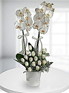 Orkide ve Beyaz Gül Aranjmanı