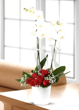 Orkide & Kırmızı Gül Aranjmanı