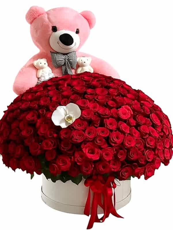 300 Gül ve Pembe Ayıcık