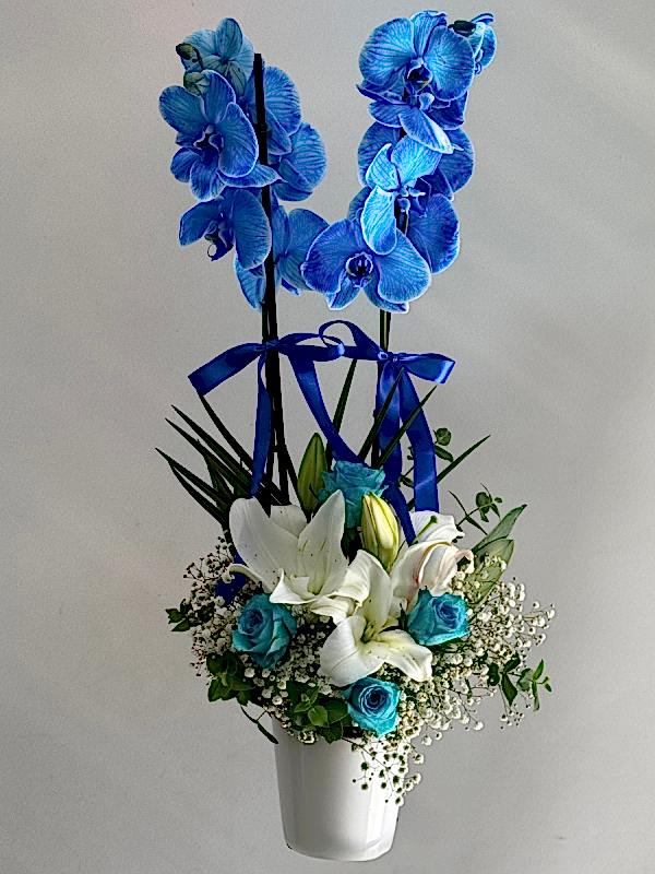 Mavi Orkide & Gül & Lilyum Aranjmanı
