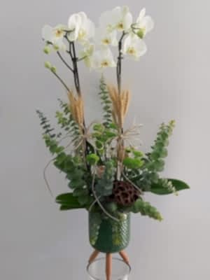 Ayaklı Saksıda 2 Dal Beyaz Orkide