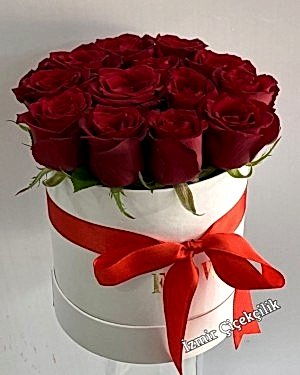 Beyaz Kutuda 11 Kırmızı Gül