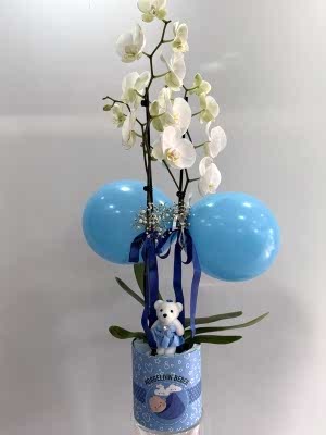 Erkek Bebek Beyaz Orkide Tasarım