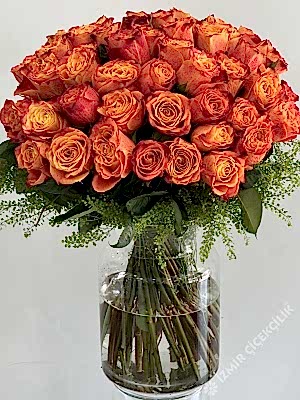 Grand Vazoda İthal 50 Turuncu Gül