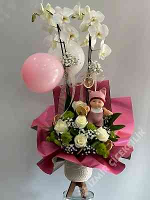 Orkide Yeni Doğan Kız Bebek Çiçeği