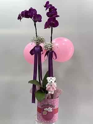 Kız Bebek Beyaz Mor Tasarım