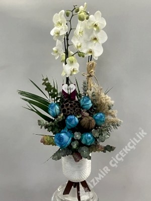 Mavi Gül & Orkide Aranjmanı