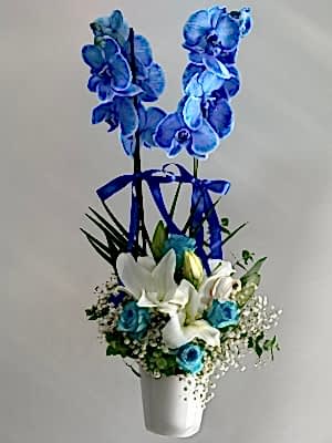 Mavi Orkide & Gül & Lilyum Aranjmanı
