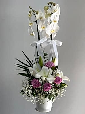 Orkide & Lila Gül & Lilyum Aranjmanı