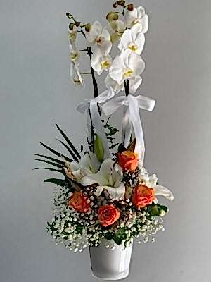Orkide & Turuncu Gül & Lilyum Aranjmanı