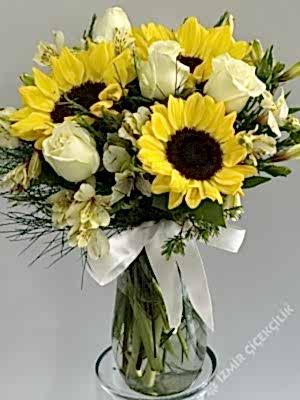 Vazoda Ayçiçeği & Beyaz Gül